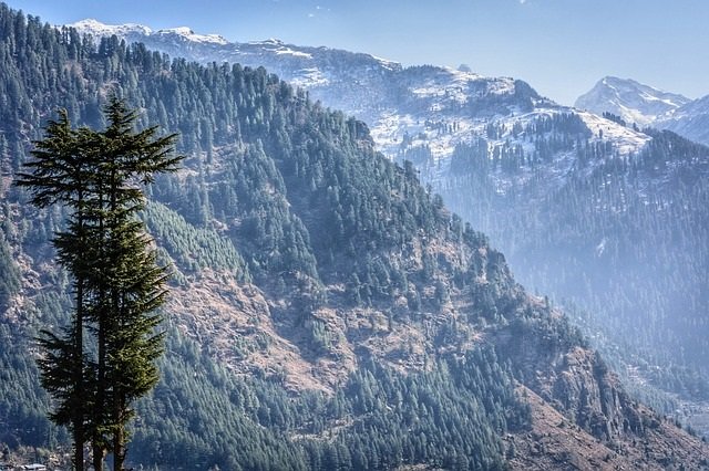 Manali