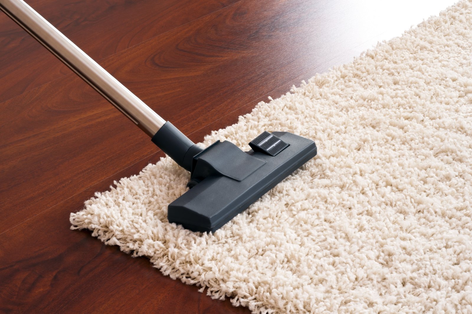 Acquiring the very best Carpeting Cleanser is the Best Choice