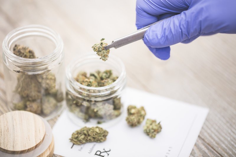 How to Choose Medical Marijuana That Is Good For Your Health