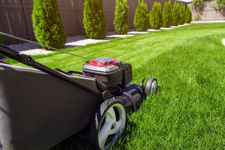 Home Lawn Care – How to Hire a Home Lawn Care Service
