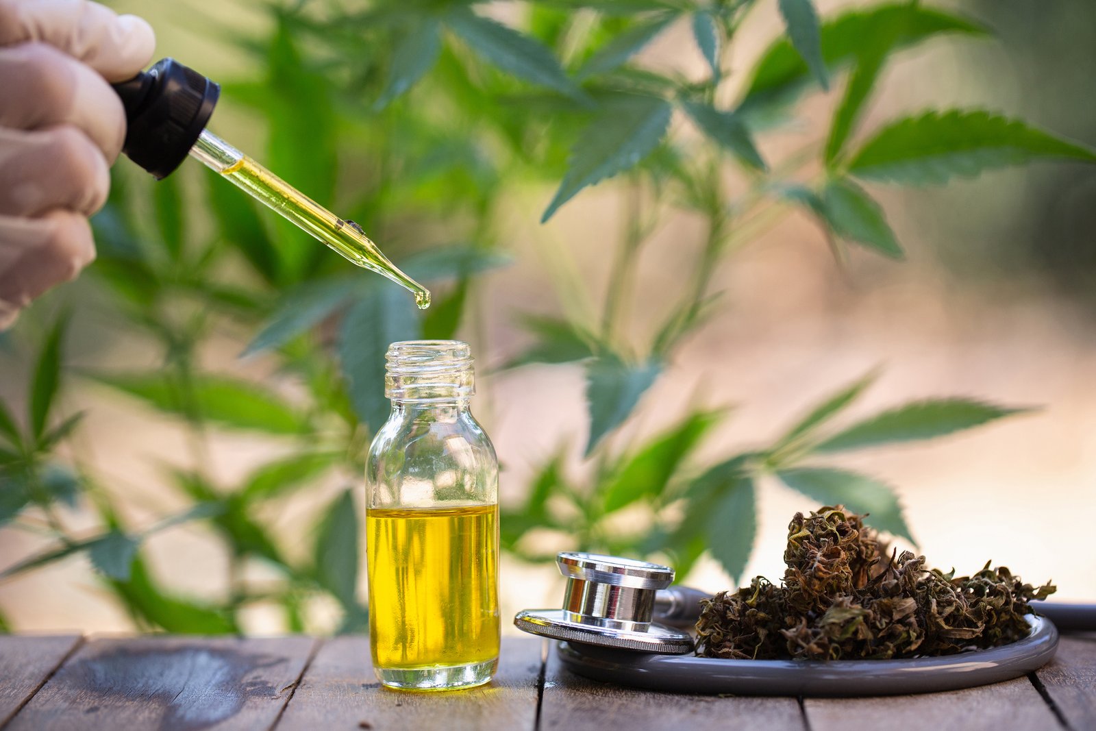 The Amazing Powers of CBD Oil