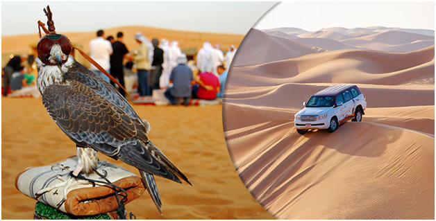 Activities That Comes Under The Desert Safari Package