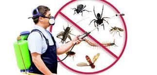 Common Pest control Methods You Must Know About